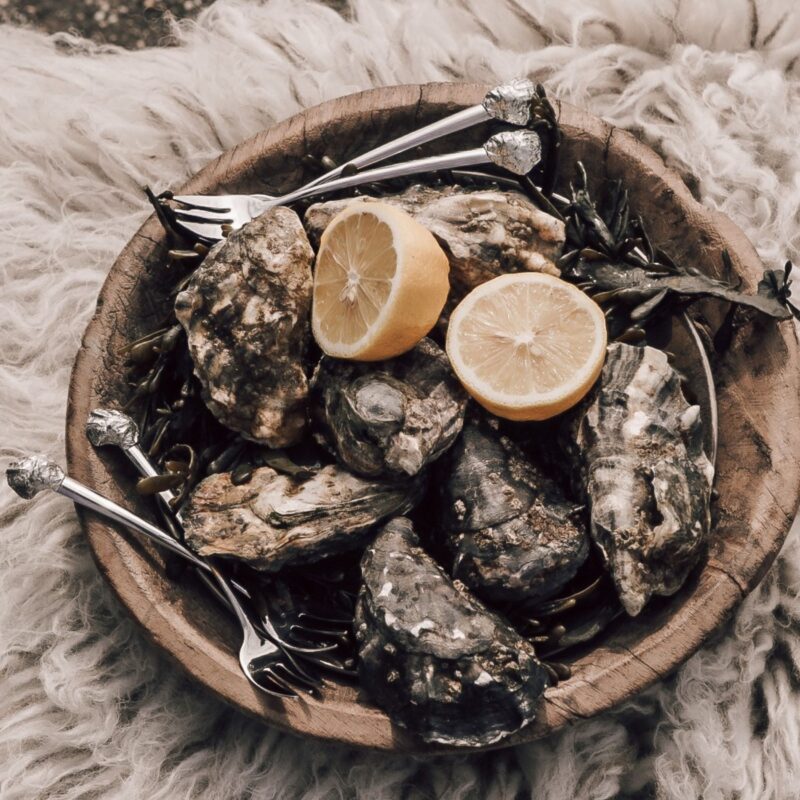 plate off oysters with oyster forks from Anovi