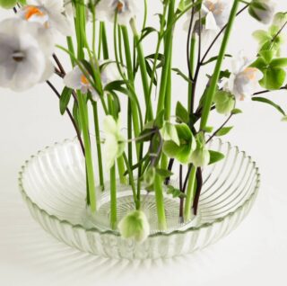 Acryl Kenzan Ring 150 mm – Moderne Tool voor Bloemcreaties Hanataba