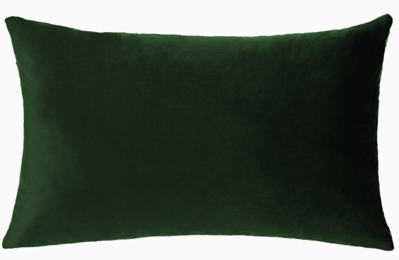 If you can't say anything nice pillow green velvet back