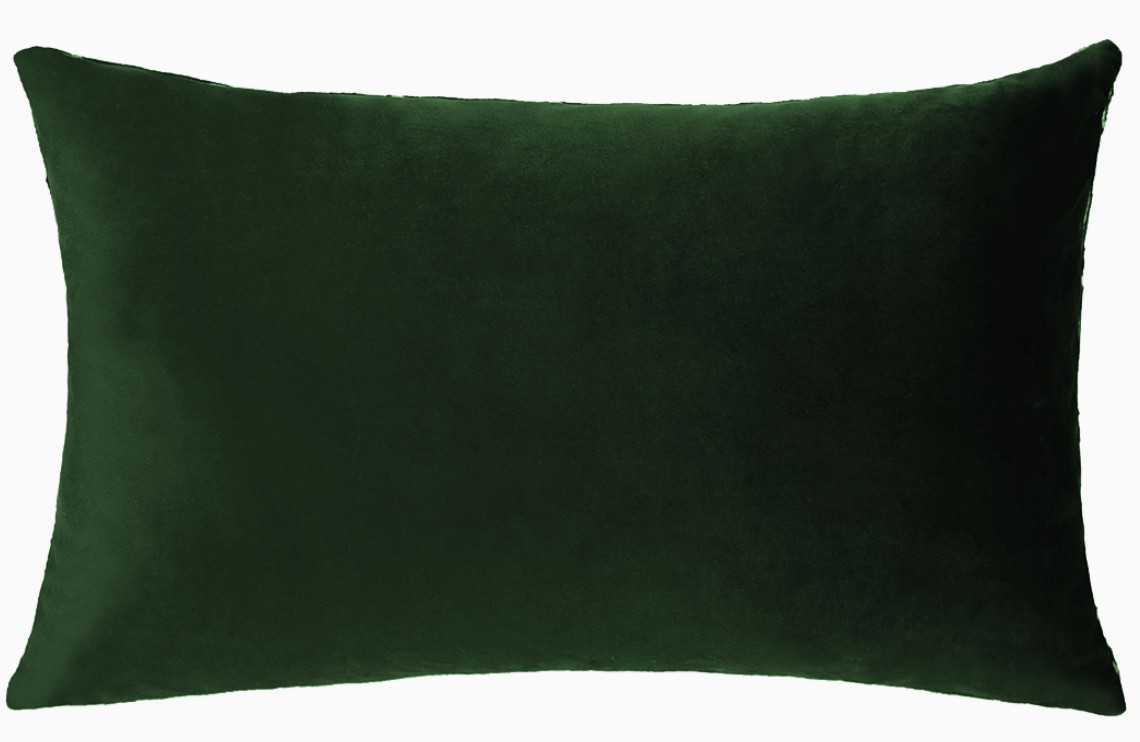 If you can't say anything nice pillow green velvet back