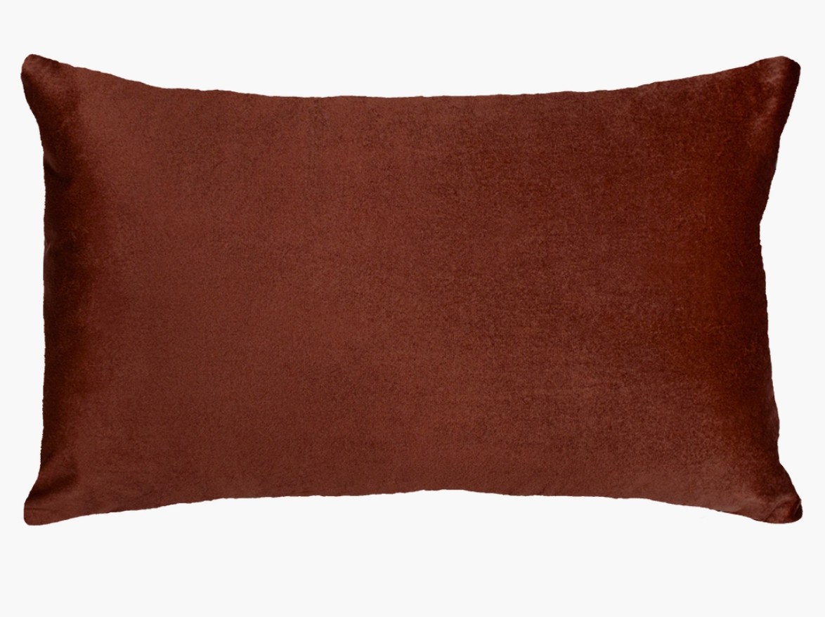 Just one more episode pillow the pillow drop velvet brown backside