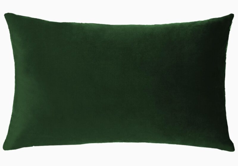 When life gives you lemons pillow dark green velvet back