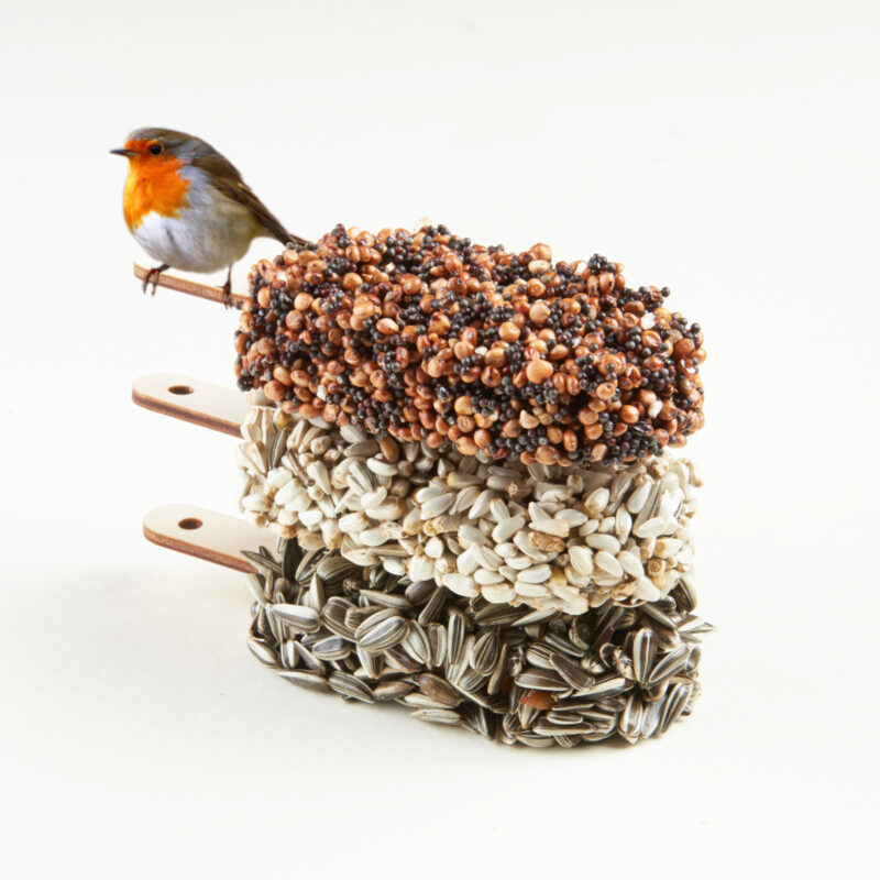 Indian Summer bird seed ice cream gift for garden birds