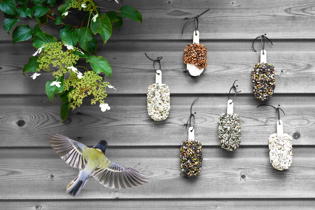 Desserts for Birds Mixed Temptation bird dessert with mixed seeds