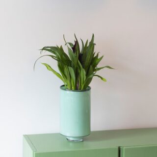 Pistache groene Vaas Milo 26 x 15 cm